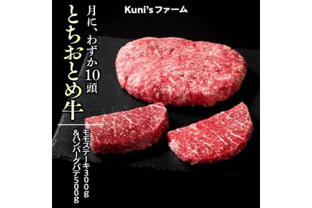 とちおとめ牛　モモステーキ300g＆ハンバーグパテ500gセット｜牛肉 肉加工品