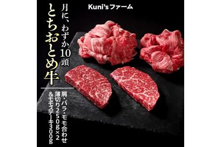 とちおとめ牛 肩・バラ・モモ合わせ薄切り250g×2&モモステーキ300gセット 牛肉 ステーキ