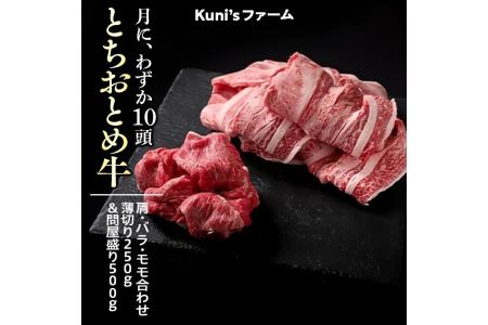 とちおとめ牛　肩・バラ・モモ合わせ薄切り250g＆問屋盛り500gセット 牛肉 ボリューム◇