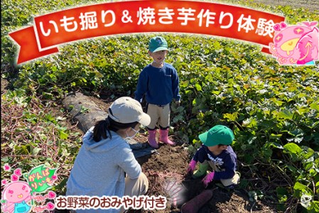11/5(土) いも掘り&焼き芋作り体験!お野菜のおみやげ付き(1組5名様まで)【都心から車で約2時間】 | お芋掘り さつま芋 農業体験 新鮮 農園 直売所 おやつ お出かけ 子連れ 秋の味覚