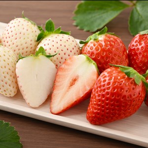 ＜先行予約＞ 【スカイベリー ミルキーベリー】鬼怒川の恵みをたっぷり受けた　栃木県上三川（かみのかわ）町産　紅白イチゴセット【紅白各1パック】 いちご イチゴ 苺 白いちご 紅白いちご ※2026年1月中旬～3月中旬頃に順次発送 ※離島への配送不可