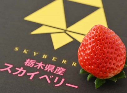<先行予約> 鬼怒川の恵みをたっぷり受けた 栃木県上三川(かみのかわ)町産 スカイベリー【2パック】 いちご イチゴ 苺 スカイベリー ※2026年1月中旬~3月中旬頃に順次発送予定 ※離島への配送不可