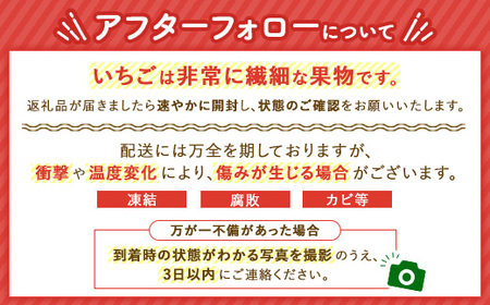 <先行予約>【とちあいか ミルキーベリー】鬼怒川の恵みをたっぷり受けた 栃木県上三川(かみのかわ)町産 紅白イチゴセット【紅白各1パック】いちご イチゴ 苺 白いちご 紅白いちご ※2026年1月中旬~3月中旬頃に順次発送予定 ※離島への配送不可