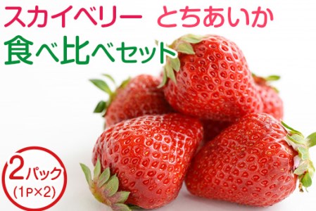 田口いちごファームの スカイベリー・とちあいかの食べ比べセット | いちご 苺 イチゴ 栃木県産 ※2023年1月中旬~2月下旬頃に順次発送予定 ※着日指定不可 ※北海道、沖縄、四国、九州、離島への配送不可