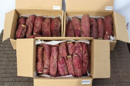 ＜紅あずま＞[品種が選べる]栃木県産さつまいも 冷凍焼き芋 3kg ※着日指定不可◇