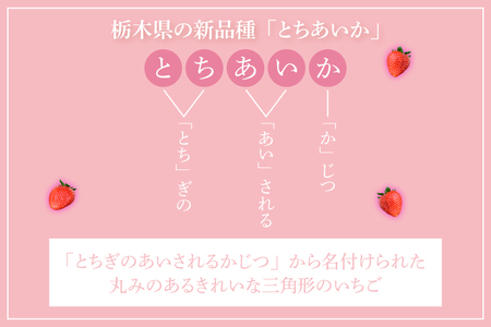 DJ001 　【2024年12月より順次発送】鈴木農園のいちご　とちあいか 約300g×4パック