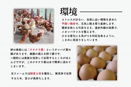 AQ010　【12ヶ月定期便】高橋ファームの丈夫卵 20個入り