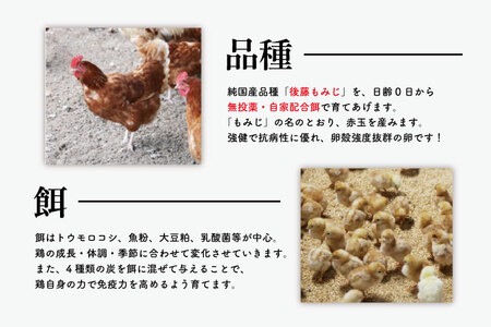 AQ012 【6ヶ月定期便】高橋ファームの丈夫卵30個入り