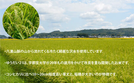 DQ005　【数量限定】あい　farm　やなぎのお米令和６年産ゆうだい21白米5Kg