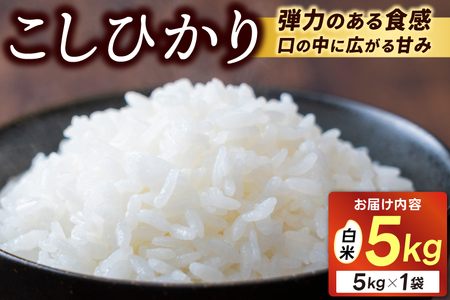 ＼新米 先行予約 11月より順次発送予定／★令和7年産★ 米 5kg 白米 精米 「コシヒカリ」山崎観光農園 栃木県 益子町 ふるさと納税 お米 こしひかり 白米 精米 5キロ 高評価 令和7年 先行予約 (AU014-11)
