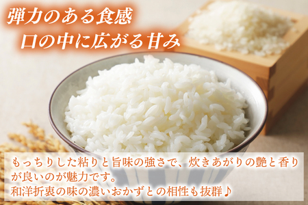 ＼新米 先行予約 11月より順次発送予定／★令和7年産★ 米 5kg 白米 精米 「コシヒカリ」山崎観光農園 栃木県 益子町 ふるさと納税 お米 こしひかり 白米 精米 5キロ 高評価 令和7年 先行予約 (AU014-11)