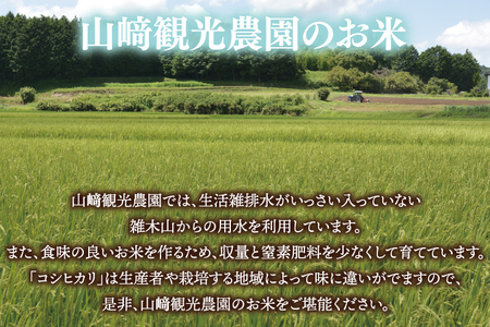 ＼新米 先行予約 11月より順次発送予定／★令和7年産★ 米 5kg 白米 精米 「コシヒカリ」山崎観光農園 栃木県 益子町 ふるさと納税 お米 こしひかり 白米 精米 5キロ 高評価 令和7年 先行予約 (AU014-11)