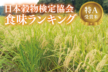 新米 とちぎの星 5kg (5キロ) 栃木県産 AU023-ss