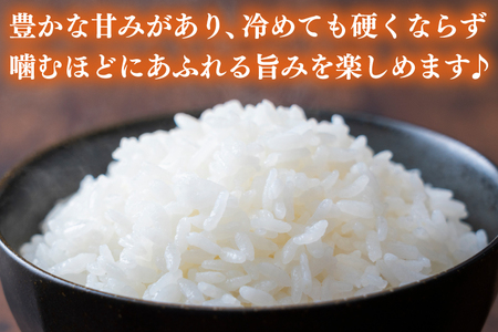 新米 とちぎの星 5kg (5キロ) 栃木県産 AU023-ss