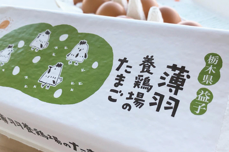 【先行予約】【2026年2月より順次発送】黒麹育ちの赤たまご30個｜栃木県 益子町 ふるさと納税 たまご 卵 タマゴ 赤たまご 人気 濃厚 食べチョク (BC007)