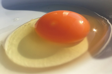 【先行予約】【2026年2月より順次発送】黒麹育ちの赤たまご30個｜栃木県 益子町 ふるさと納税 たまご 卵 タマゴ 赤たまご 人気 濃厚 食べチョク (BC007)