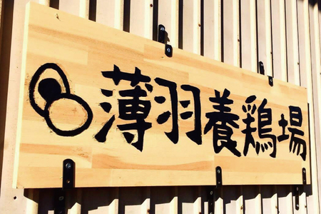 【先行予約】【2026年2月より順次発送】黒麹育ちの赤たまご30個｜栃木県 益子町 ふるさと納税 たまご 卵 タマゴ 赤たまご 人気 濃厚 食べチョク (BC007)