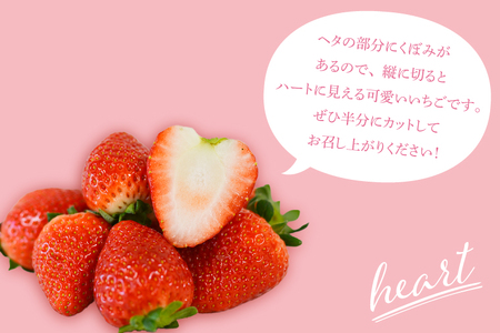 とちあいか いちご ★ご家庭用★ 600g (300g以上×2P) DJ003