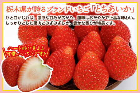 とちあいか 1,000g【栃木県共通返礼品/高根沢町産】DW001