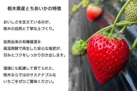 とちあいか 1,000g【栃木県共通返礼品/高根沢町産】DW001
