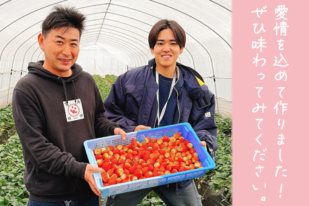 とちあいか 1,000g【栃木県共通返礼品/高根沢町産】DW001