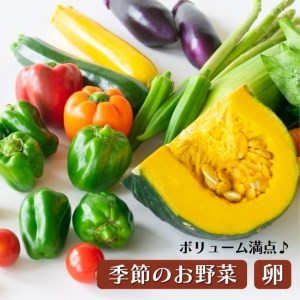 AA034＜6か月定期便＞旬の採れたてぜいたく野菜セット（卵付き）2人用