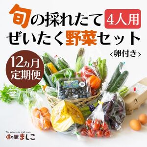 AA036＜12ヶ月定期便＞旬の採れたてぜいたく野菜セット（卵付き）4人用