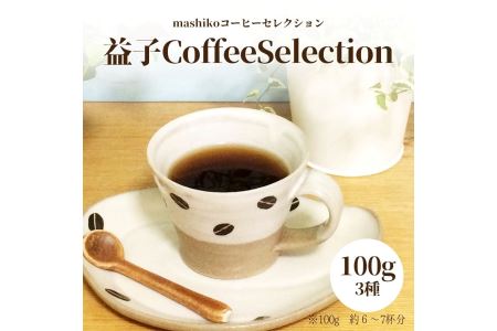 AA010 益子町にある小さなコーヒー屋MegumiDrip　益子 Coffee Selection　コーヒー（粉）3種　ブラジル モカ バリ神山 100g×1袋 中煎り 焙煎