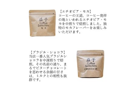 AA010 益子町にある小さなコーヒー屋MegumiDrip　益子 Coffee Selection　コーヒー（粉）3種　ブラジル モカ バリ神山 100g×1袋 中煎り 焙煎