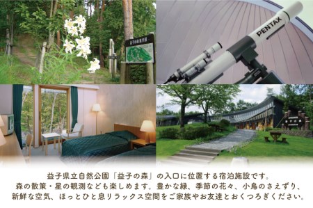 AP001 宿泊チケット 旅行 素泊り 2名様