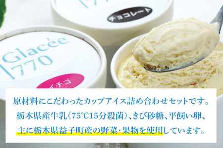 【ギフト対応可】無添加アイスクリームセット 益子町 ふるさと納税 無添加 アイスクリーム こだわり カップアイス 牛乳 きび砂糖 卵 たまご 野菜 果物 フルーツ(AB001)