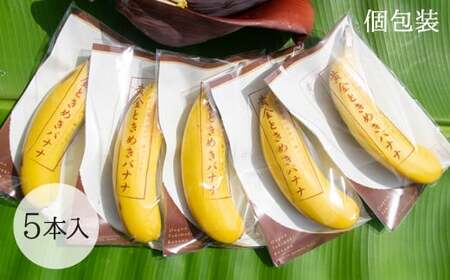 CA001　【先行予約】黄金ときめきバナナ　フルーツ　国産
