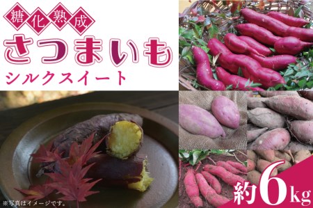 さつまいも 約6kg シルクスイート 益子町 AU001-3