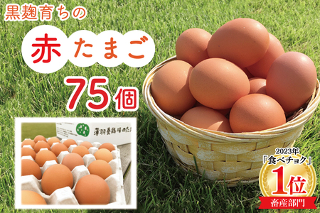 たまご 大容量 75個 ★2月より順次配送★ 黒麹育ちの赤たまご BC008