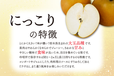 DB005　【先行予約】仁平果樹園の梨(にっこり)