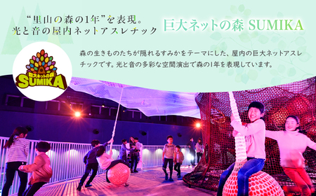 モビリティリゾートもてぎ 入場+パークパスポート（大人1名分）| リゾート アスレチック アスレチック