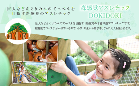 モビリティリゾートもてぎ 入場+パークパスポート（大人1名分）| リゾート アスレチック アスレチック