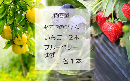 イチゴ＆ブルーベリー＆ゆずジャム 160g×4本 | ｼﾞｬﾑ ｼﾞｬﾑ ｼﾞｬﾑ ｼﾞｬﾑ ｼﾞｬﾑ