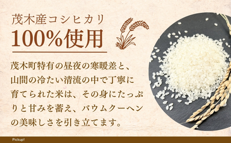 バウムクーヘン チーズインバウム10個 | ﾊﾞｰﾑｸｰﾍﾝ ﾊﾞｰﾑｸｰﾍﾝ ﾊﾞｰﾑｸｰﾍﾝ ﾊﾞｰﾑｸｰﾍﾝ ﾊﾞｰﾑｸｰﾍﾝ 