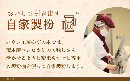 バウムクーヘン チーズインバウム10個 | ﾊﾞｰﾑｸｰﾍﾝ ﾊﾞｰﾑｸｰﾍﾝ ﾊﾞｰﾑｸｰﾍﾝ ﾊﾞｰﾑｸｰﾍﾝ ﾊﾞｰﾑｸｰﾍﾝ 