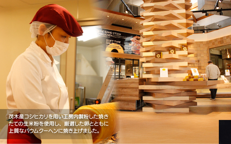 バウムクーヘン ソフト＆ハード カットバウムセット 19個 | ﾊﾞｰﾑｸｰﾍﾝ ﾊﾞｰﾑｸｰﾍﾝ ﾊﾞｰﾑｸｰﾍﾝ ﾊﾞｰﾑｸｰﾍﾝ ﾊﾞｰﾑｸｰﾍﾝ