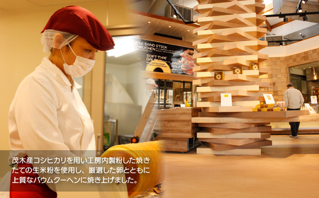 バウムクーヘン ソフト＆ハードバウムセット（バウムセット） 計3個 | ﾊﾞｰﾑｸｰﾍﾝ ﾊﾞｰﾑｸｰﾍﾝ ﾊﾞｰﾑｸｰﾍﾝ ﾊﾞｰﾑｸｰﾍﾝ ﾊﾞｰﾑｸｰﾍﾝ 