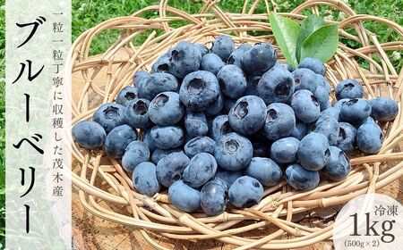 茂木町産 冷凍ブルーベリー 1kg | ブルーベリー 冷凍 栃木県 茂木町