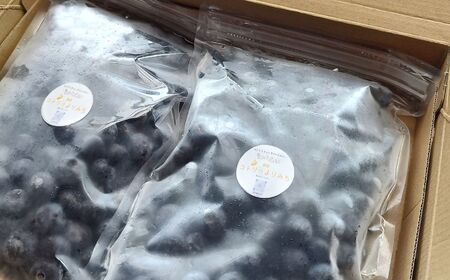 茂木町産 冷凍ブルーベリー 1kg | ブルーベリー 冷凍 栃木県 茂木町