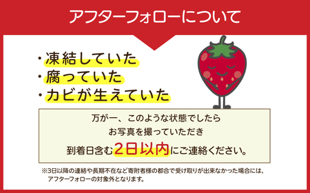 いちご【1月中旬以降発送】とちあいか ギフト 計900g | イチゴ 栃木県 茂木町
