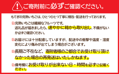 いちご【2月以降発送】ミルキーベリー ギフト900g | イチゴ 栃木県 茂木町