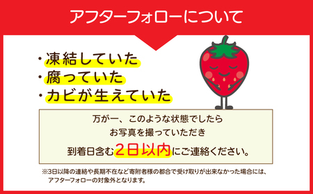いちご【3月発送】とちおとめ レギュラー 計540g |イチゴ 栃木県 茂木町