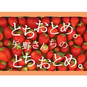 完熟とちおとめ　レギュラータイプ　4パック(1パックあたり9～15粒)【配送不可地域：離島・北海道・沖縄県・九州】【1261216】