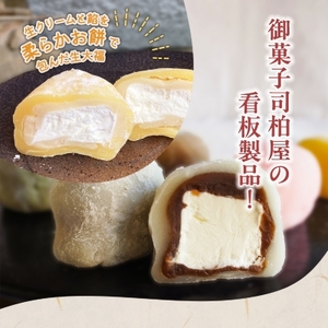 御菓子司柏屋の看板製品　生大福　12個入【配送不可地域：離島】【1284869】