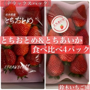 【11月中旬より発送】鈴木いちご園の★完熟★朝摘み★とちおとめ&とちあいかDX食べ比べ 4パック入り【1351571】